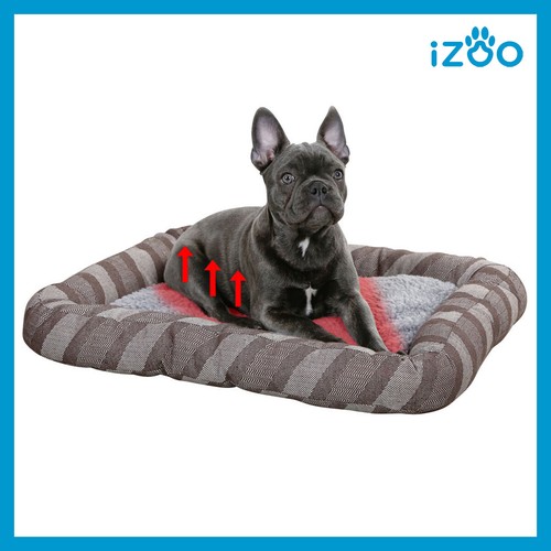 Cuccia per cani interno - cuccia, da