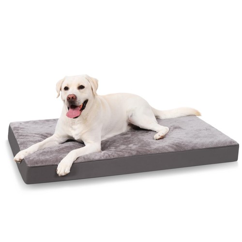 Cuscino per cani taglia - cuscino,