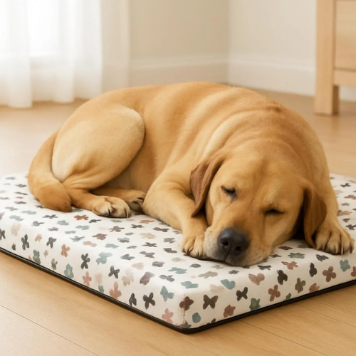 Lettino per cani - cani, interno