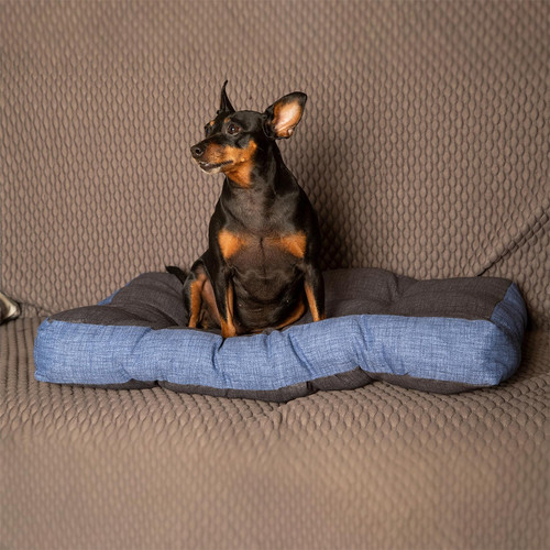Cuscino per cani rettangolare - cani,