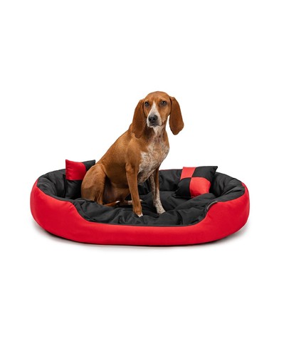 Lionto cuccia cane 1 - cuccia, 4