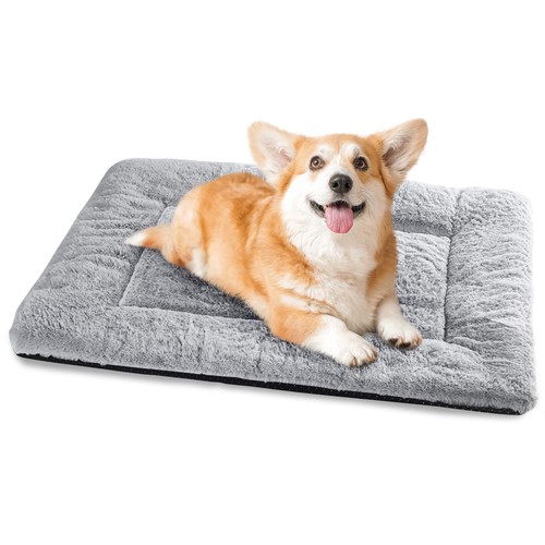 Cuccia cane interno taglia - cuccia,