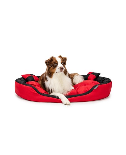 Lionto cuccia cane 1 - 4,