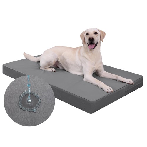 Impermeabile cuccia cane - cuccia,
