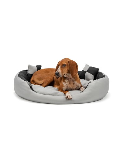 Lionto cuccia cane - 4, con