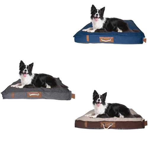 Colori cuscino per - cani, e